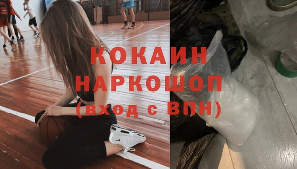 МДПВ Алексин