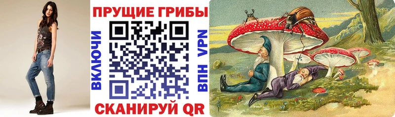 Галлюциногенные грибы Psilocybine cubensis  Емва 